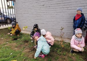 Dzieci sadzą drzewa